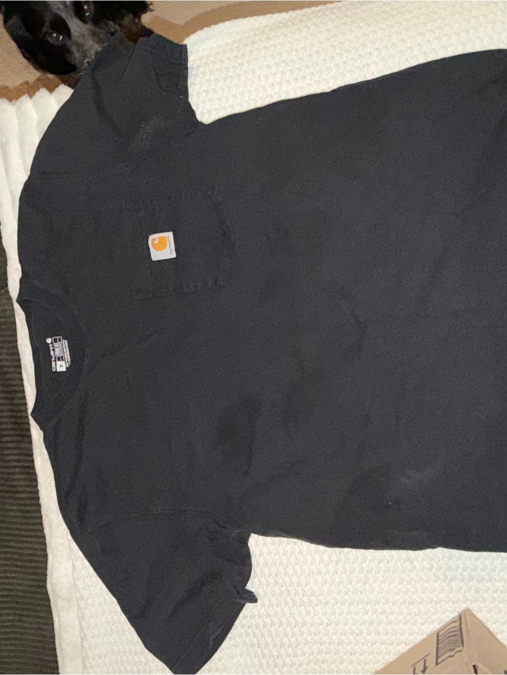 Carhartt Black Short Sleeve Pocket Tee with Logo Patch